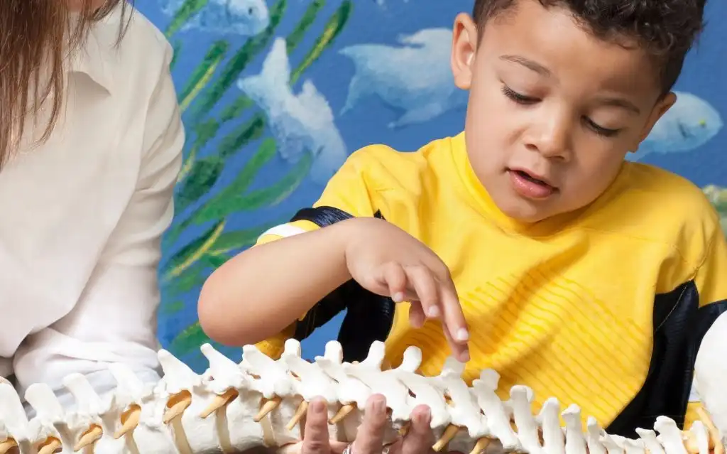 Pediatric Chiropractic: Enhancing Your Child's Health and Well-Being