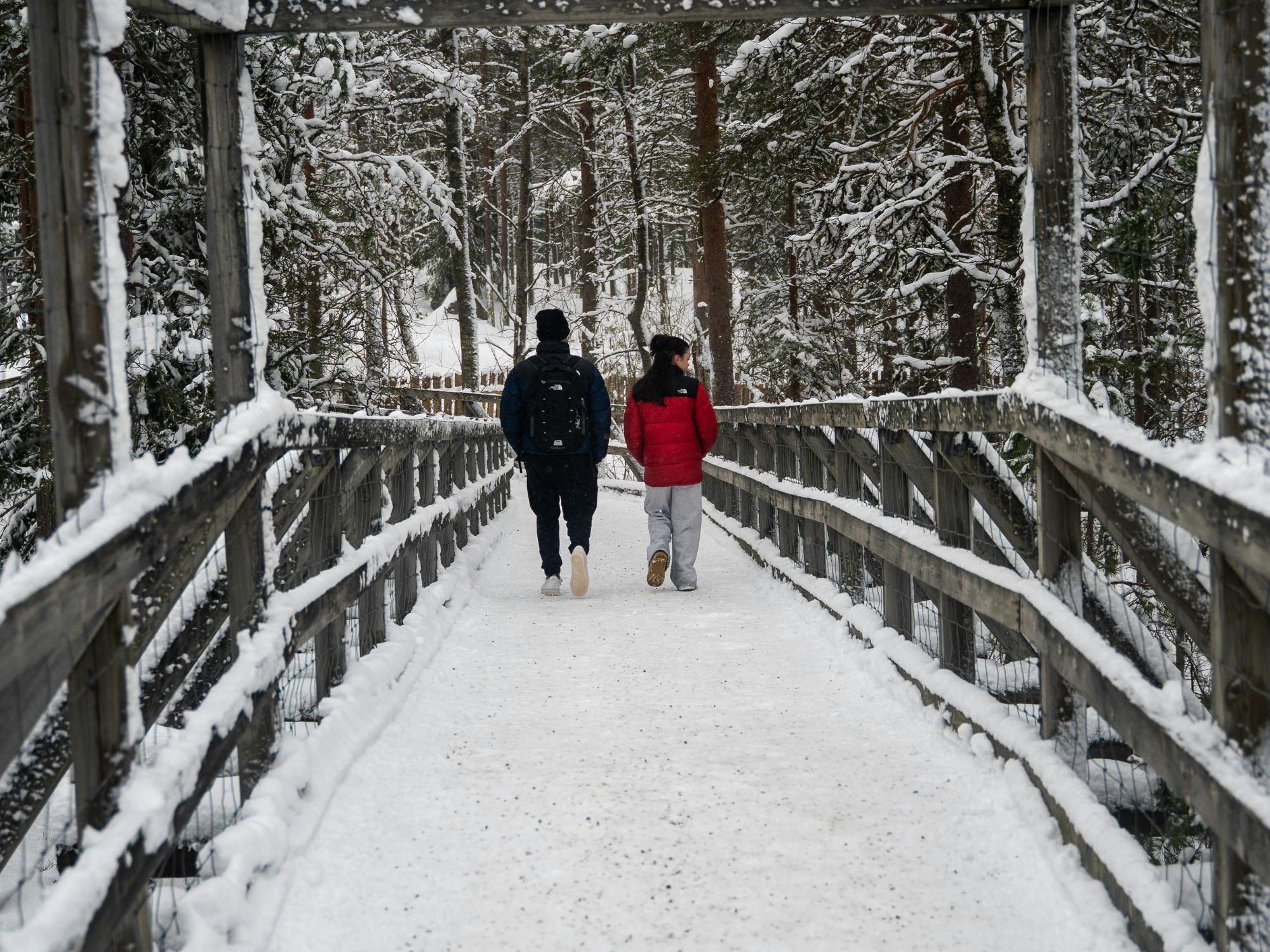 Movement, Breath & Nervous System Alignment