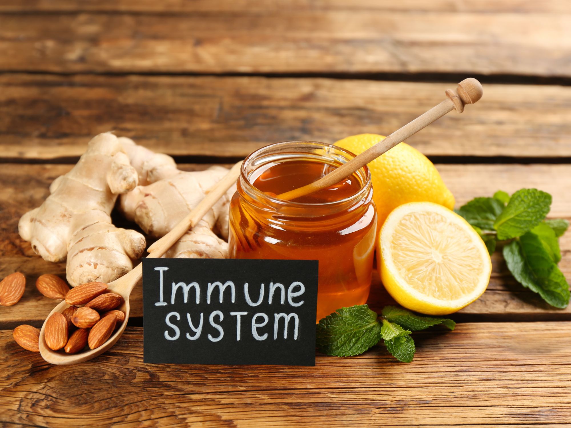 Immune Regulation Through Nervous System Balance